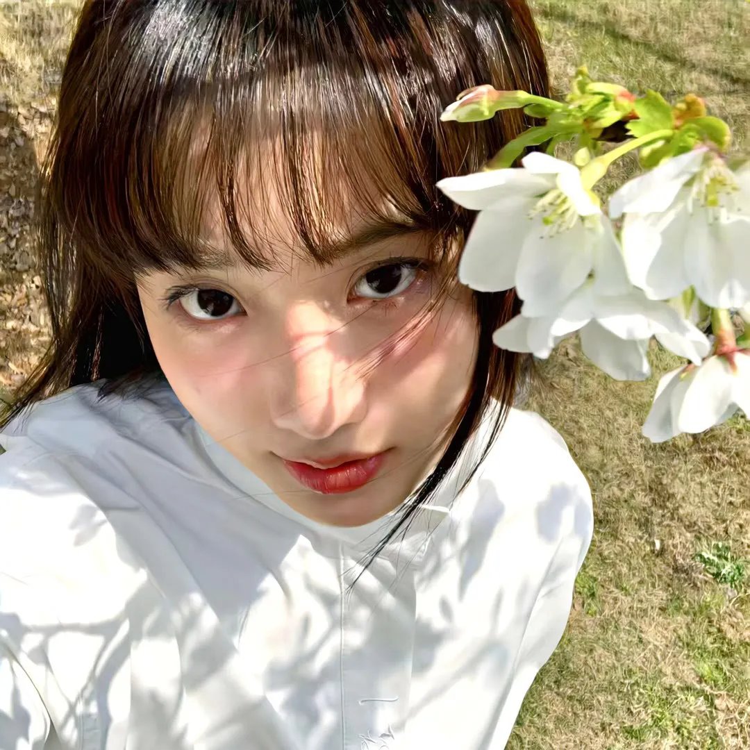 春川抉择 海报