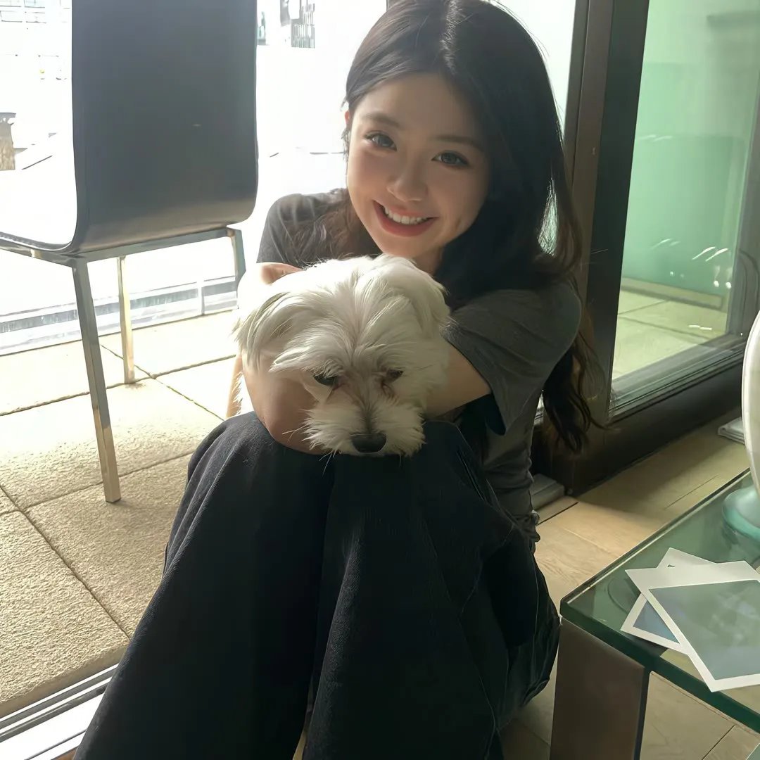 樱花风云 海报